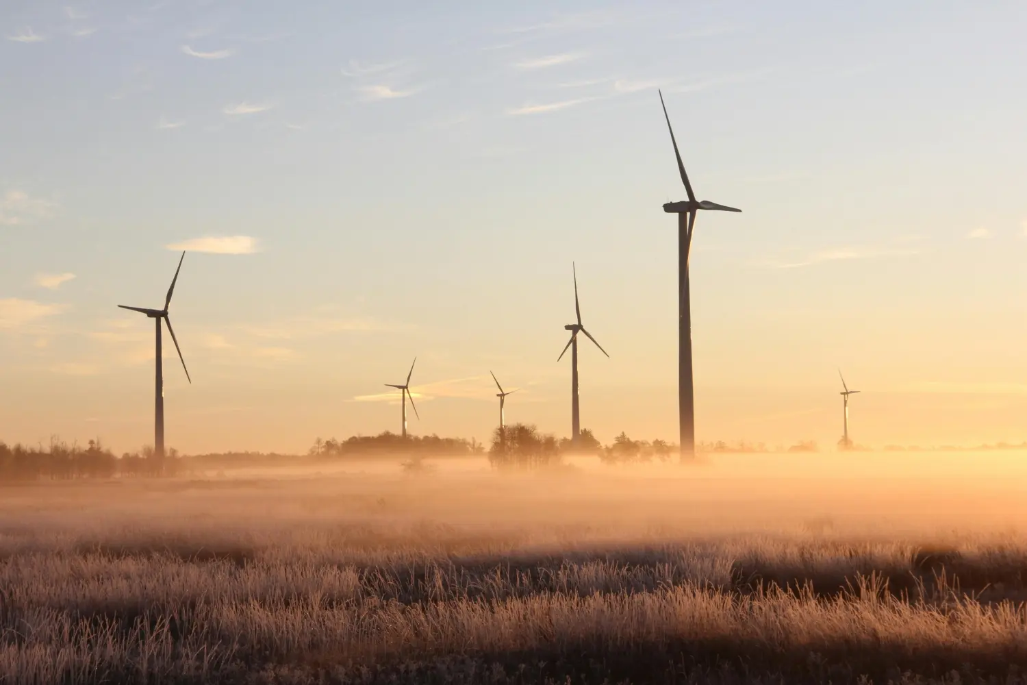 Få indsigt i, hvordan du bliver underleverandør til bl.a. biogasanlæg, pyrolyseanlæg. brintfabrikker og energiparker